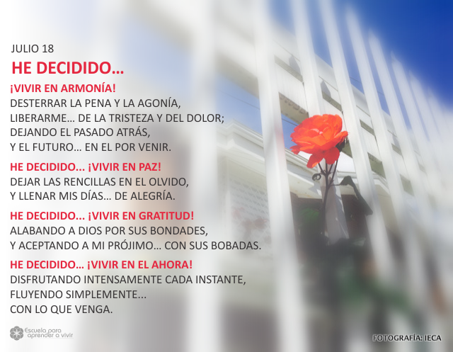 He decidido...